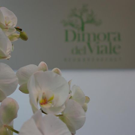 Bed and Breakfast Dimora Del Viale Agrigento Zewnętrze zdjęcie