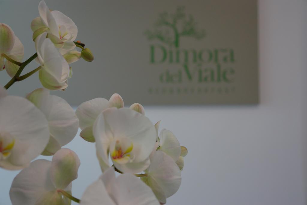 Bed and Breakfast Dimora Del Viale Agrigento Zewnętrze zdjęcie